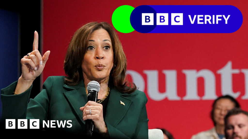 Would Kamala Harris’s price gouging plan really help US consumers?