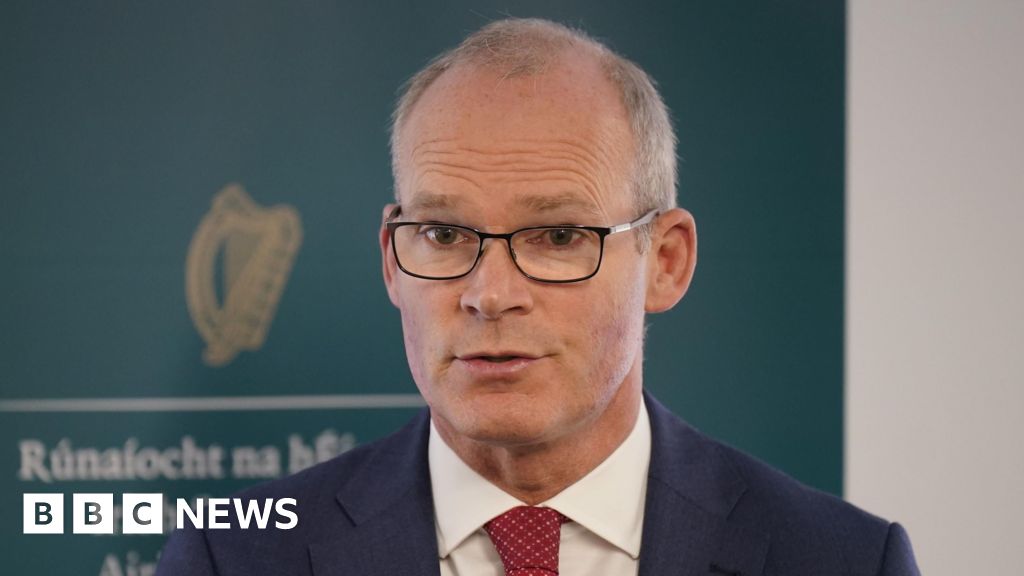 Sinn Féin president fear blamed for not expanding voting rights