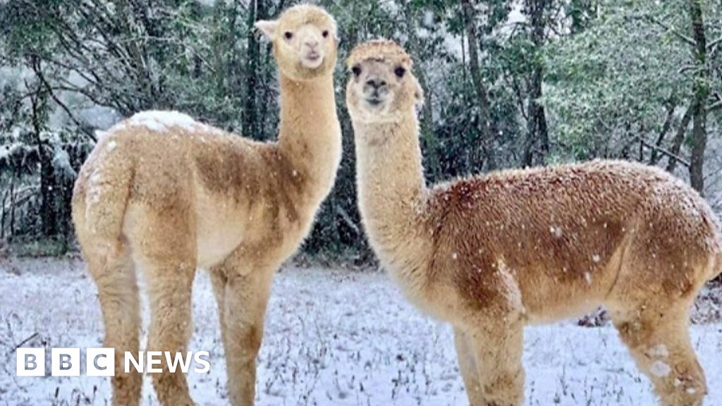 Australia: New South Wales and Victoria are experiencing the coldest weather in decades
