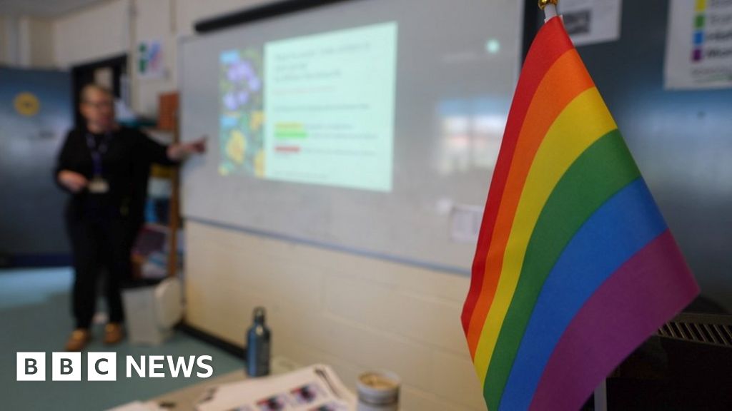 Transgender guidance for schools to be delayed