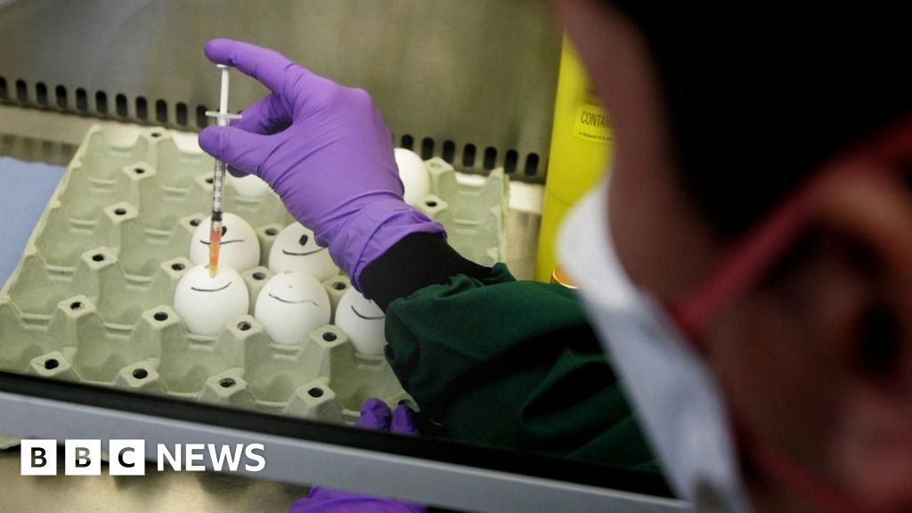 Defra Weybridge animal disease lab fighting bird flu needs rebuild – report