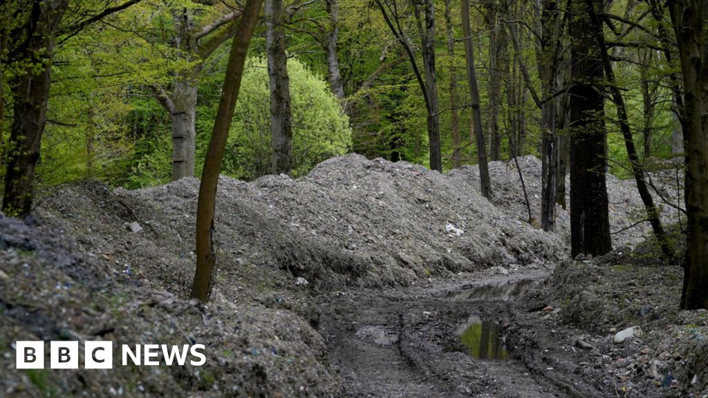 Hoads Wood: Call for government to pay £10m dumped-waste bill - BBC News