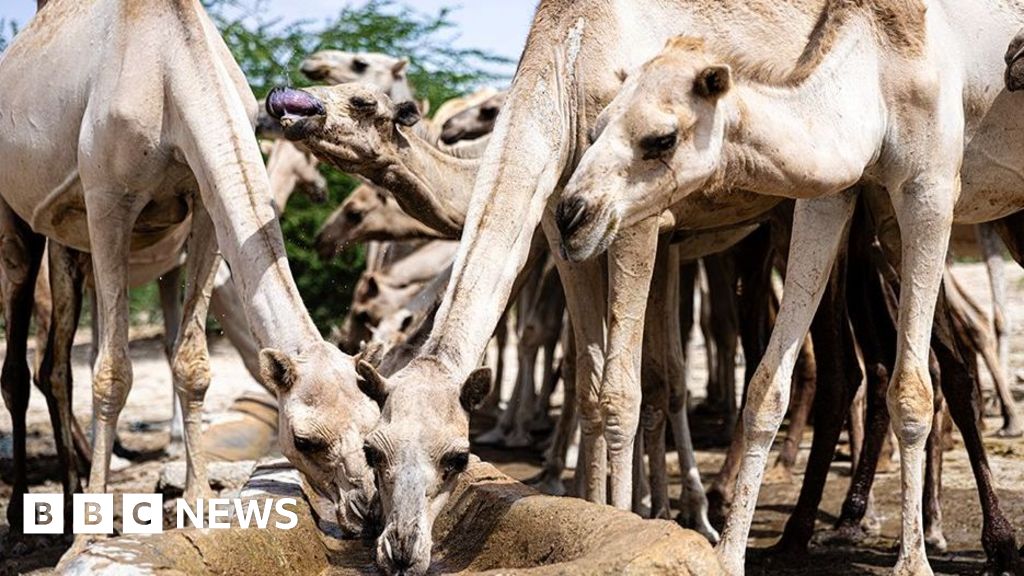 Climate change is turbo-charging Somalia’s problems – but there’s still hope