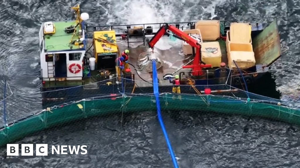 All fuel removed from sunken fish farm ship, says coastguard