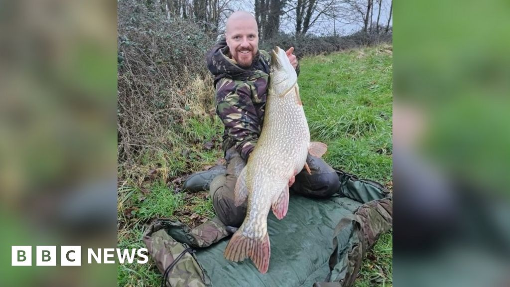 Angler scales new heights with huge pike catch in Chew Valley Lake - BBC  News