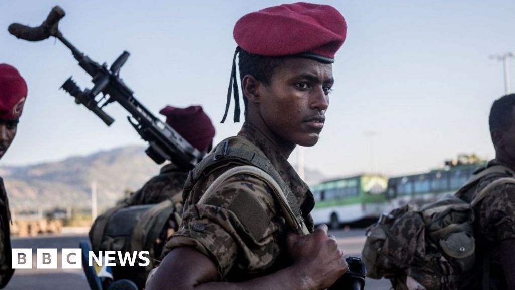 ethiopia-s-tigray-war-government-declares-humanitarian-truce