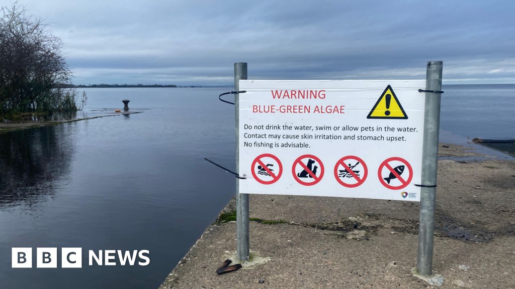 Lough Neagh environmental action plan to be outlined