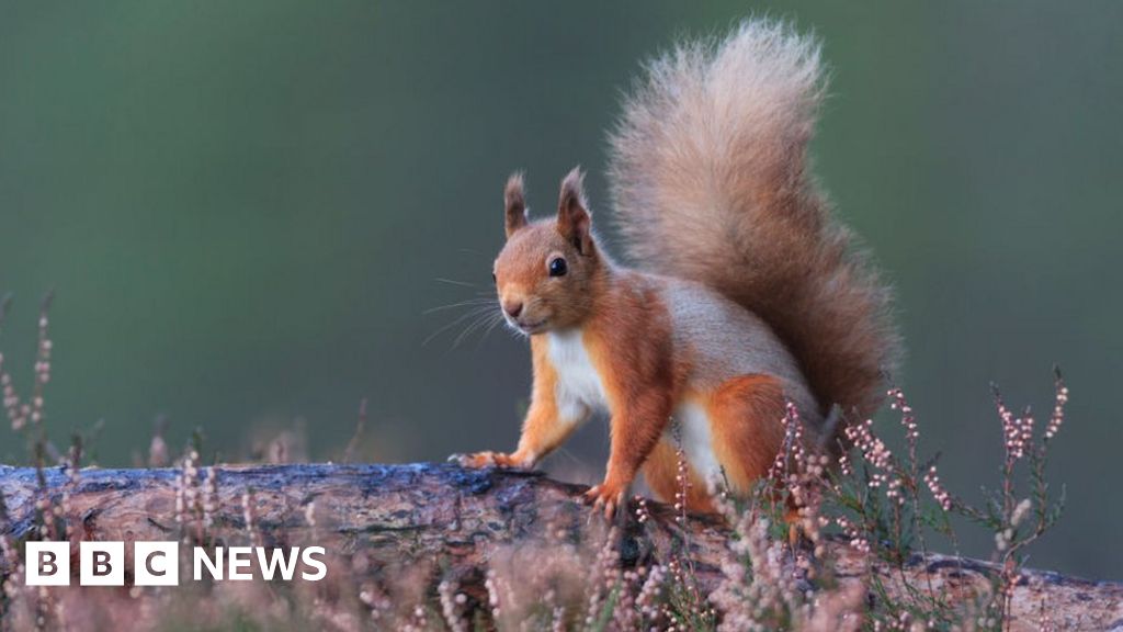 Everyone to live 15 minutes from green space or water in England under plans