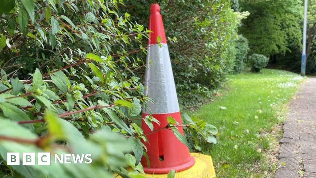 Manx 'cone ranger' campaigns to clear up island BBC News