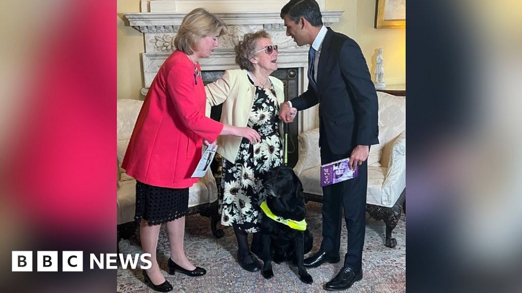 Westcliff woman fears losing independence when guide dog retires