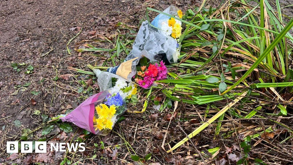 Two teenagers in court charged with murder of boy in Guildford