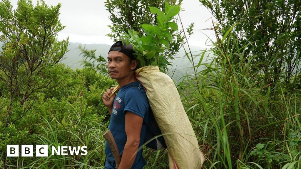 Sierra Madre: The deadly battle to save a rainforest in the Philippines