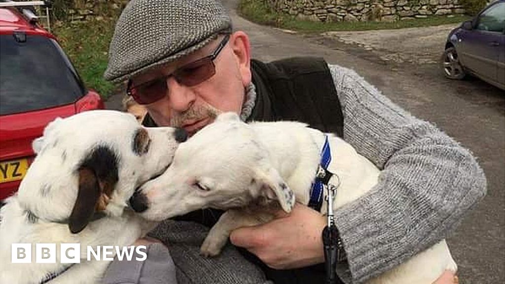 Snowy the dog found after car crash in Cornwall BBC News(02)