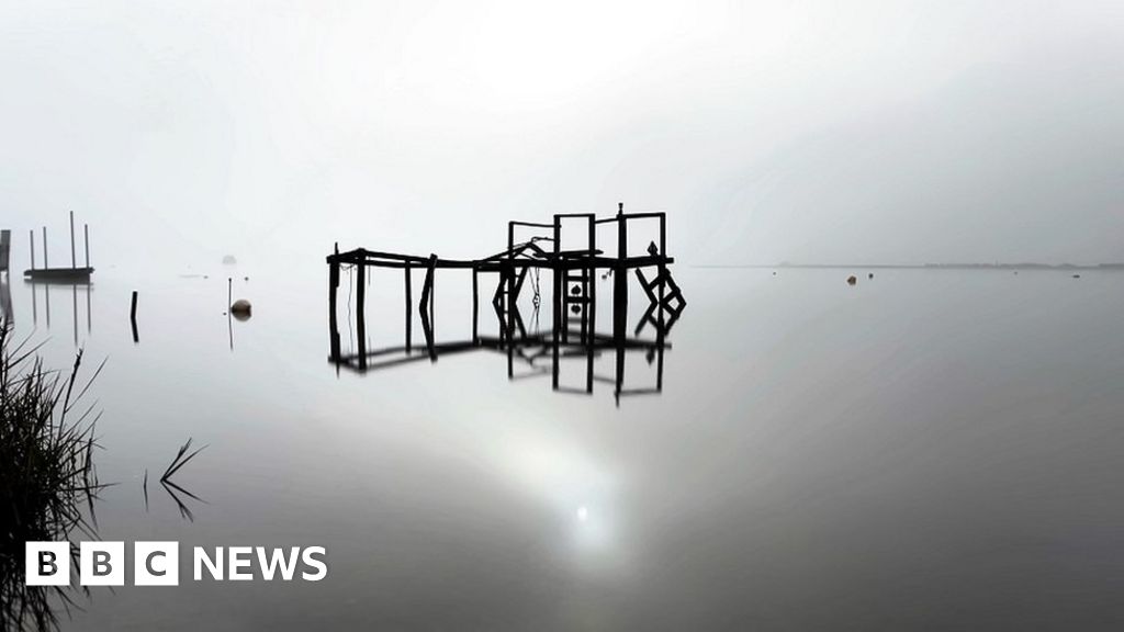 Dorset's Big Picture 4 December 10 December 2023