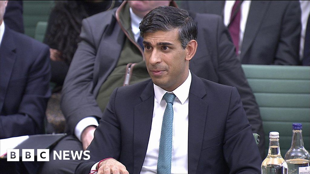 Sunak on Israel-Gaza war: Too many civilians are dying