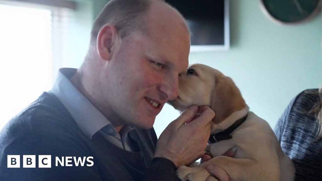 Record numbers of guide dog volunteers after BBC story