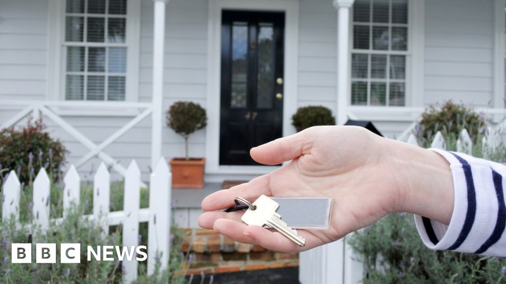 New Zealand bans house sales to foreigners