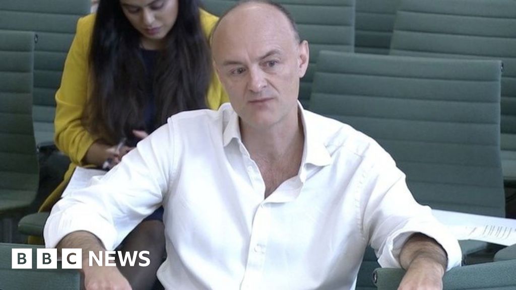 Giving evidence to MPs on the handling of the pandemic, the PM's ex-chief adviser said the UK had failed to "hear the alarm bells" when