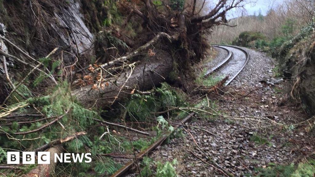 A tree fallen on the Blaenau Ffestiniog branch line