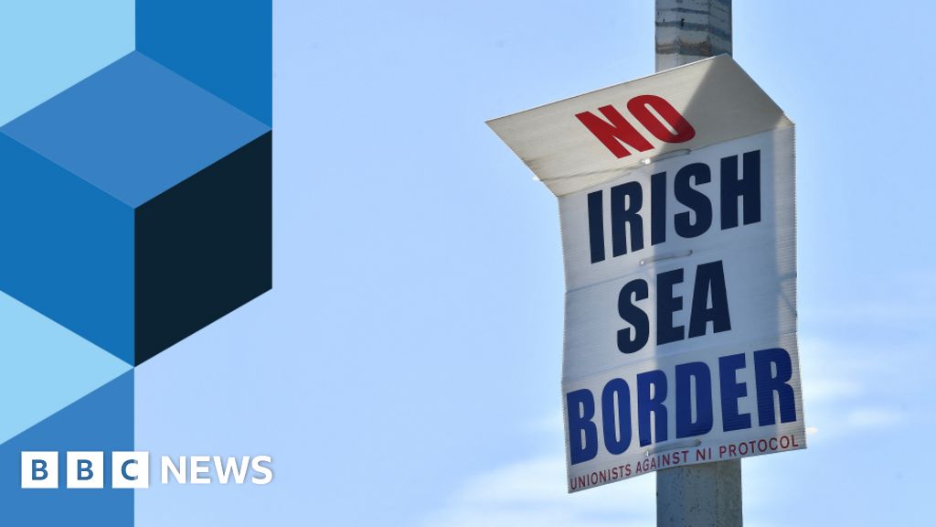 Tory leadership: What candidates think about Northern Ireland Protocol