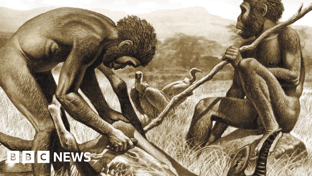 Meat Eating Accelerated Face Evolution Bbc News