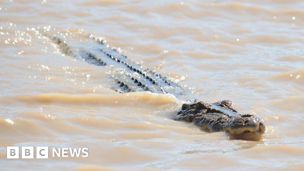 australia-floods-teenager-bitten-by-crocodile-as-army-sent-to-help-remote-areas