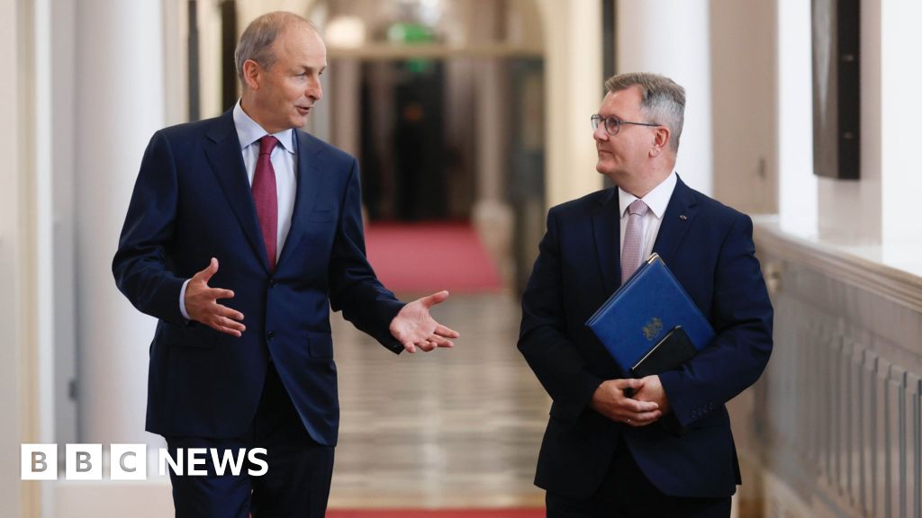 Brexit: Irish support for deal harming NI, says DUP leader