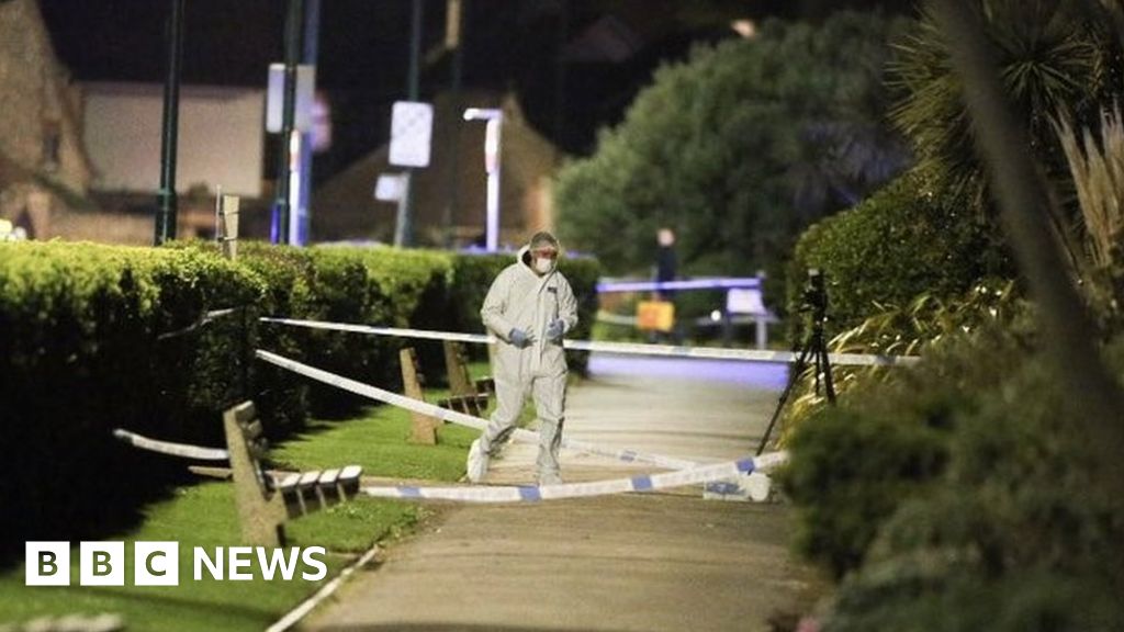 Bognor Regis stabbing Man knifed in head in park BBC News