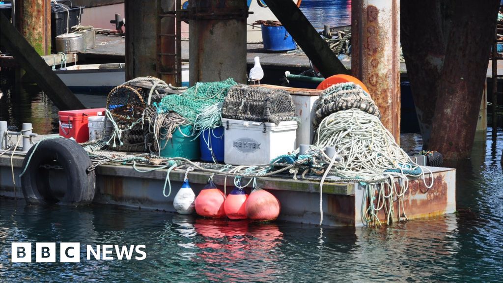 Quotas 'key' to Guernsey fishing solution, says Defra BBC News