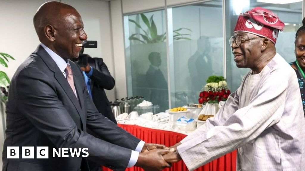 Africa's 'flying presidents' under fire for foreign trips