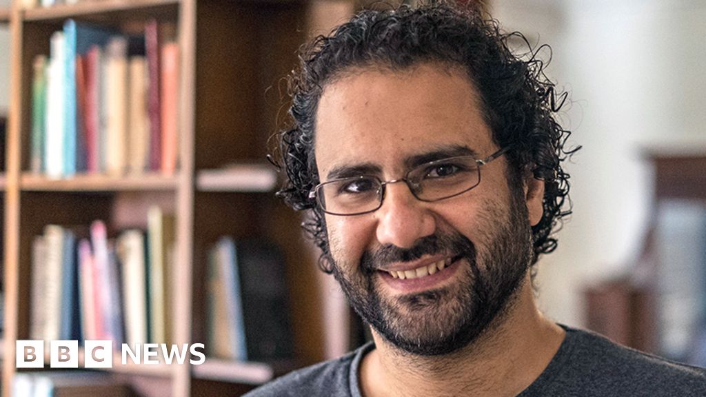 Alaa Abdel Fattah: British-Egyptian activist's life at acute risk – UN