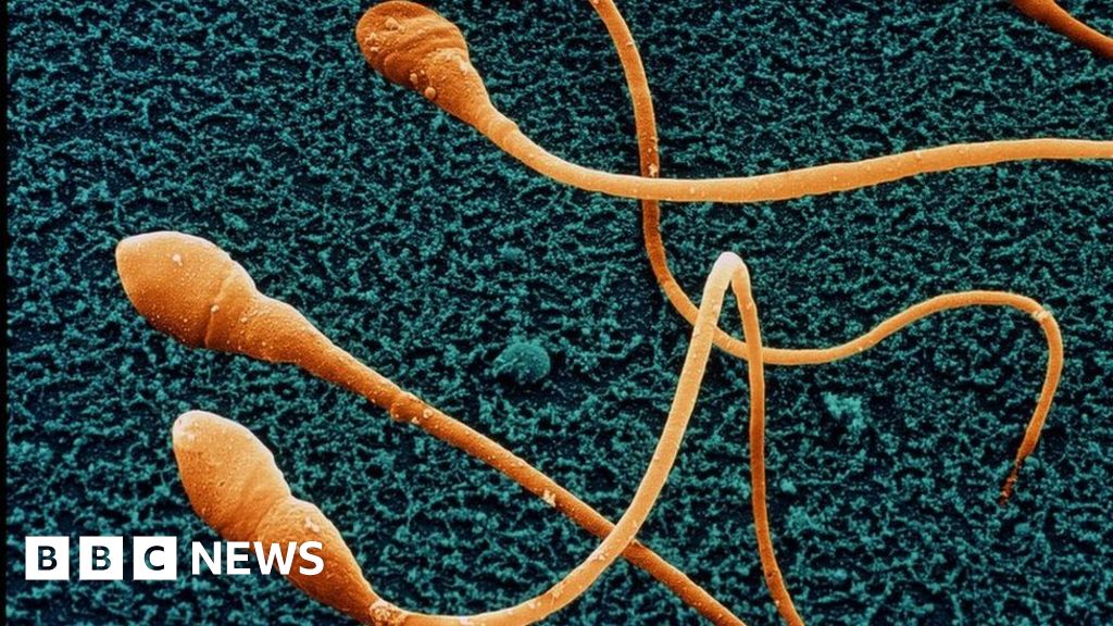 Sperm Count Drop Could Make Humans Extinct Bbc News 