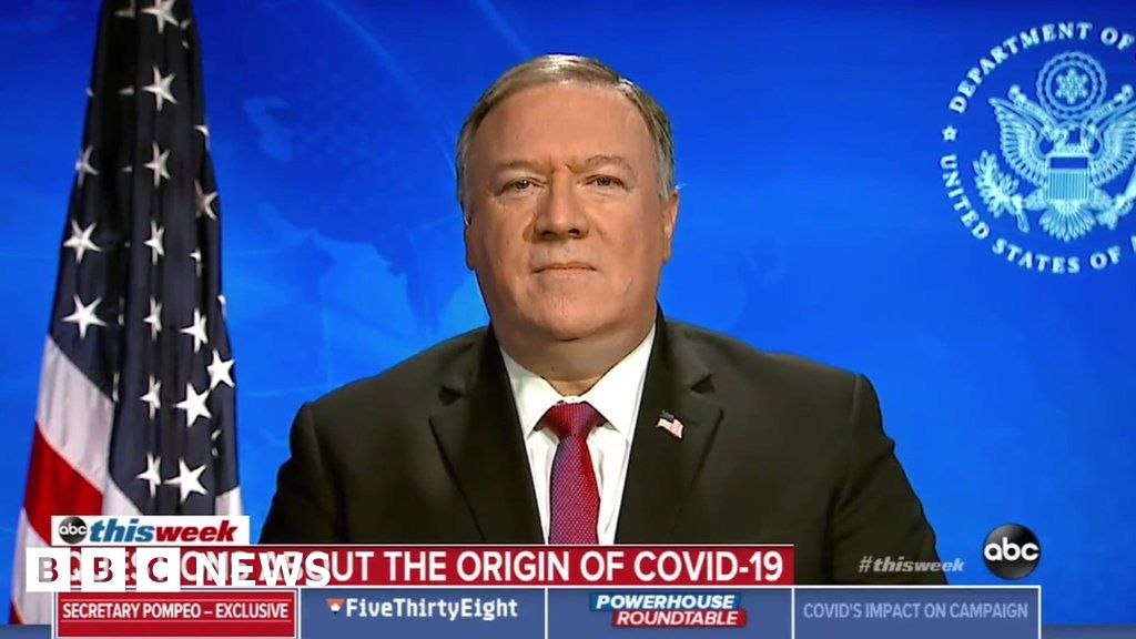 Coronavirus: Pompeo accuses Chinese of blocking investigations ...