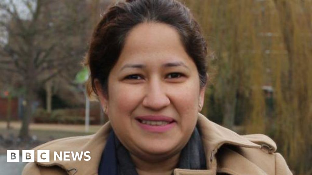 Labour suspends councillor over illegal nanny