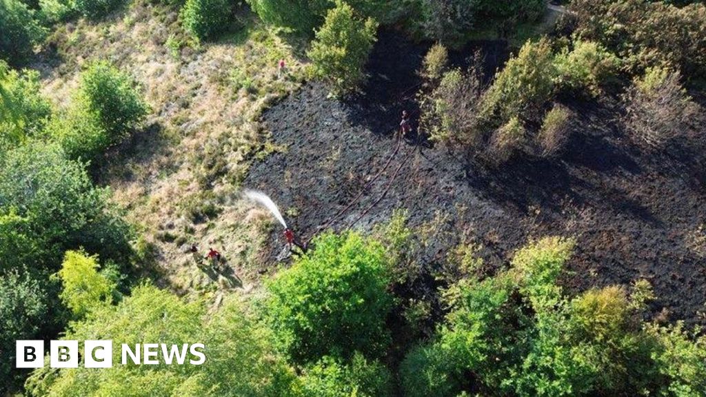 Fire Services Issue Wildfire Warnings Across Dorset, Wiltshire, Leicestershire Amid Rising Temperatures