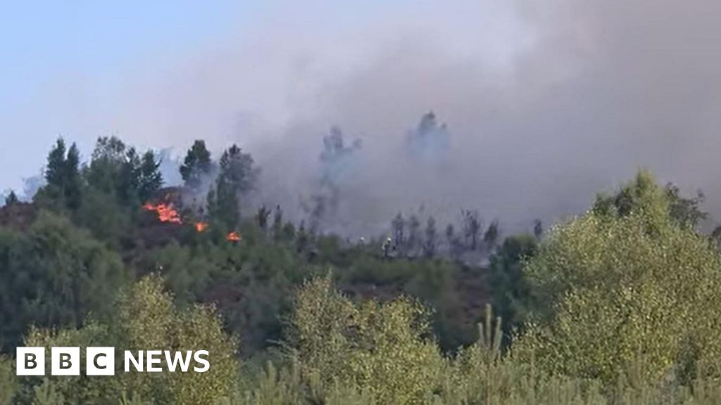 Multiple Large Wildfires Break Out Across UK Nature Reserves, Grasslands Amid Heatwave