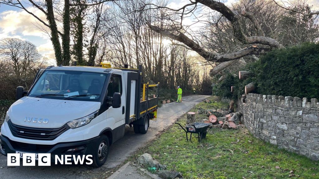 Thousands without power in Wales after Storm Darragh wind