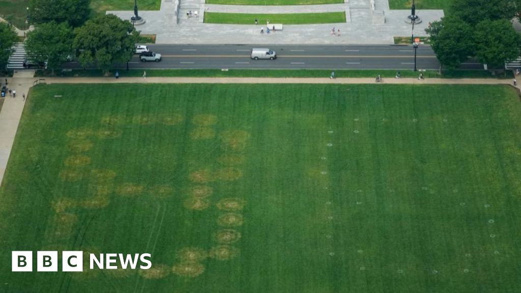 Police investigate '8647' written in grass on US national mall
