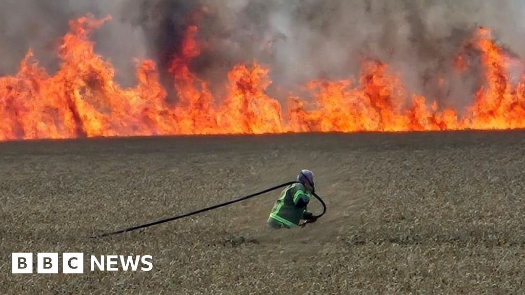 Fire in Fife country park