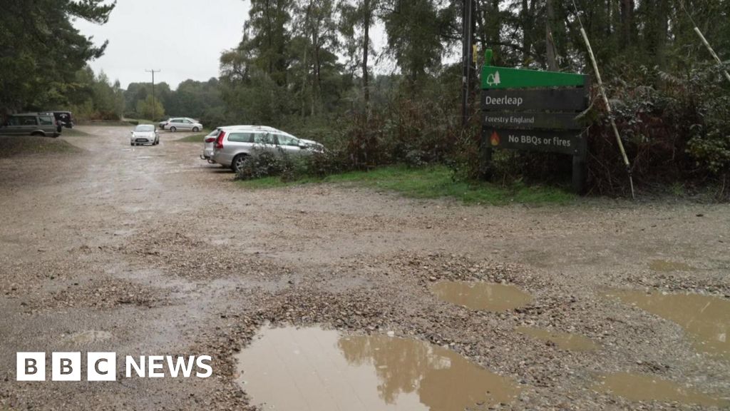 UK Local Councils, Forestry England Introduce Parking Charges in Multiple Regions