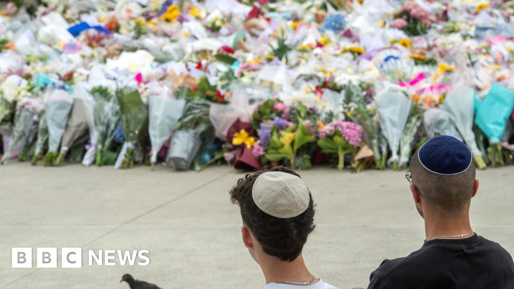 Naveed Akram charged with 15 counts of murder over Bondi shooting