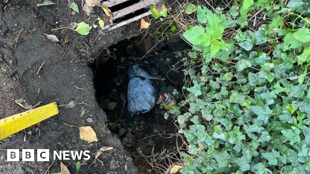 Pulborough: Rats living in metre-deep hole in road - BBC News