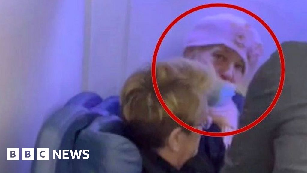 Stowaway caught on flight from New York to Paris tries to escape to Canada