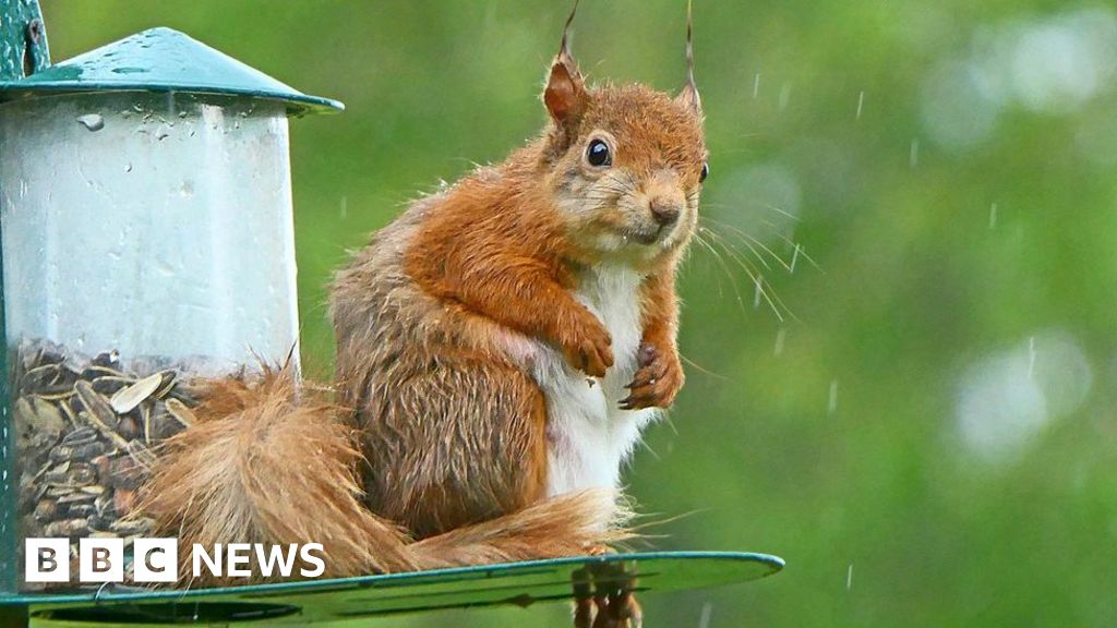 Your pictures of Scotland: Photographs from around the country – BBC News