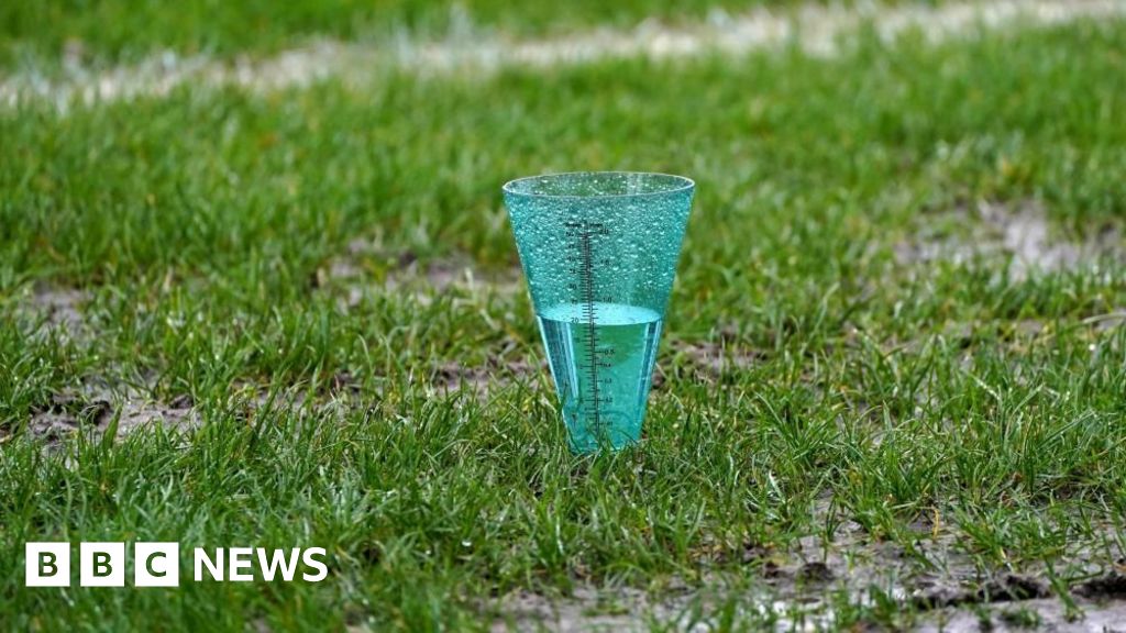 Cambridge United FC groundsman warns of climate change impact – BBC News