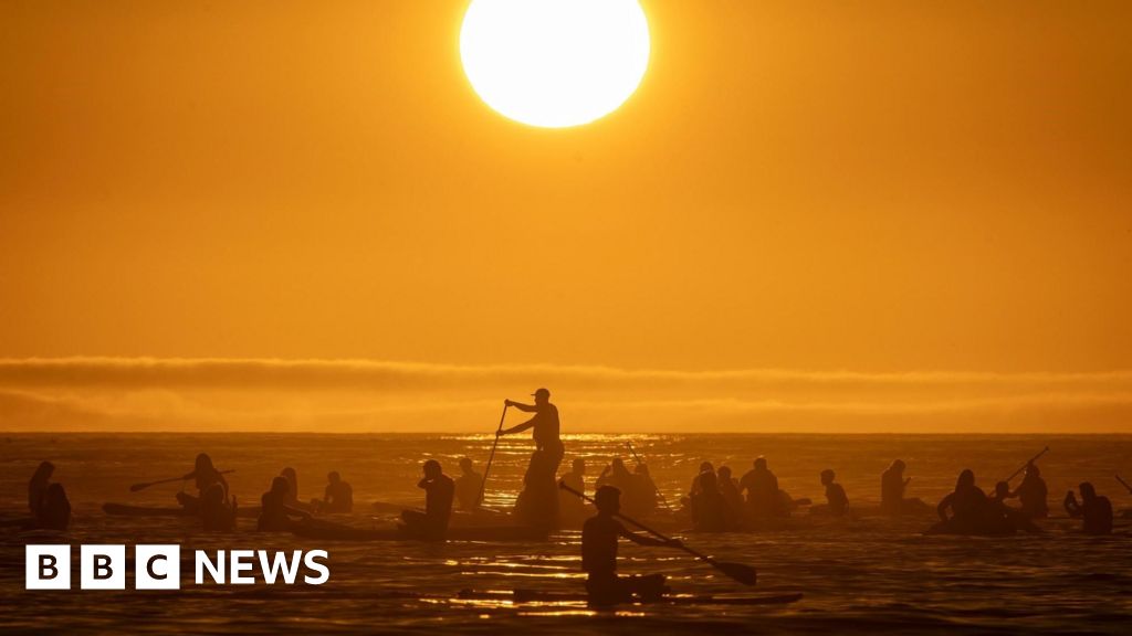 Poplar trees, the Pope and paddling: Photos of the week