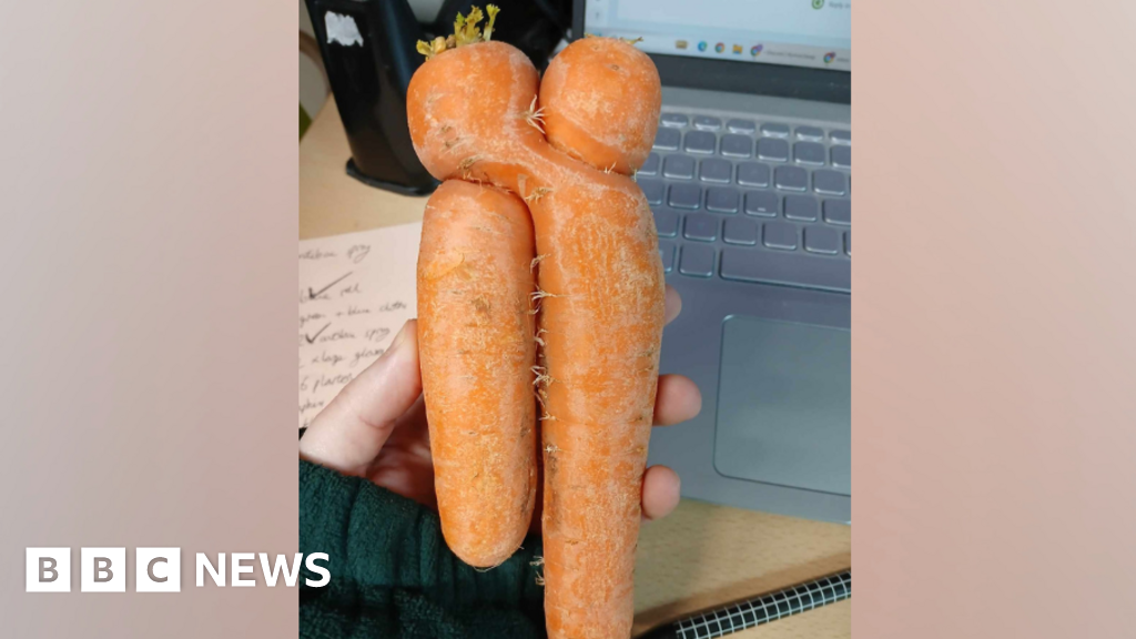 'Cuddling carrots' steal hearts at food waste hub