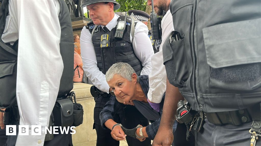 Palestine Action: More than 20 arrested at protest, Metropolitan Police say thumbnail