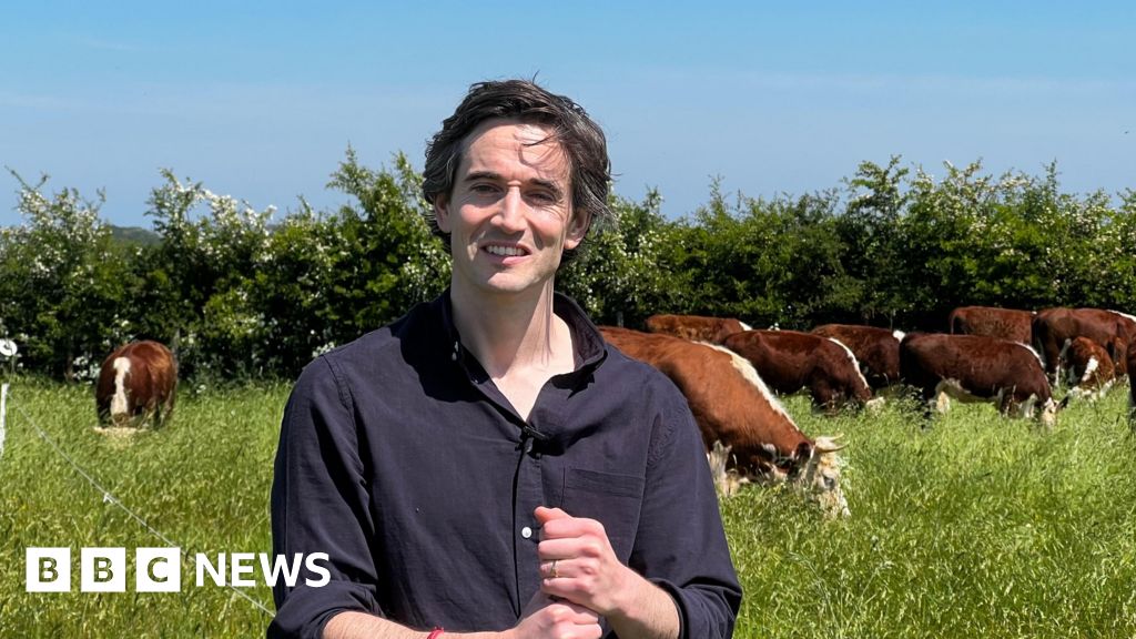 Somerset farmers aim to go green without SFI grants