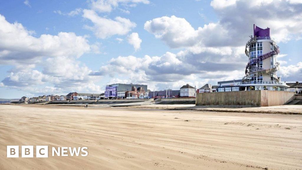 Stranded porpoise found burnt on Redcar beach